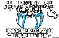 Когда ты малого уровня и не можешь пройти сильный данж Ну тут появляется 45-й и проводит тебя туда