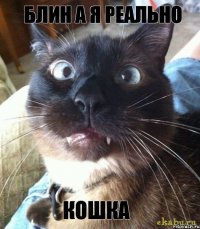 Блин а я реально Кошка