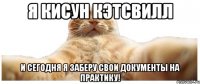 Я Кисун Кэтсвилл И сегодня я заберу свои документы на практику!