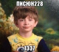 Писюн228 1337