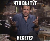 ЧТО ВЫ ТУТ НЕСЕТЕ?