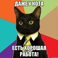 Даже у кота есть хорошая работа!