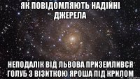 Як повідомляють надійні джерела Неподалік від Львова приземлився голуб з візиткою Яроша під крилом