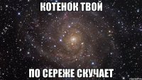 Котенок твой По Сереже скучает