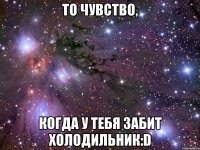 То чувство, когда у тебя забит холодильник:D