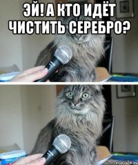 Эй! А кто идёт чистить серебро? 