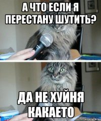 А что если я перестану шутить? Да не хуйня какаето