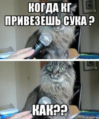 когда кг привезешь сука ? КАК??