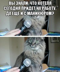 Вы знали, что Котеля сегодня придет на работу, да еще и с маникюром? 