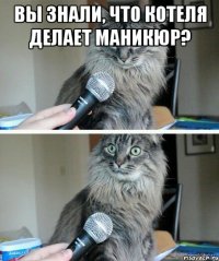 Вы знали, что котеля делает маникюр? 