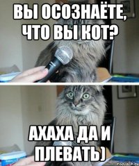 Вы осознаёте, что вы кот? АХАХА Да и плевать)