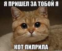 Я пришел за тобой я Кот пилрила