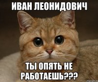 Иван Леонидович ты опять не работаешь???