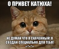 О привет Катюха! Не думай что я скаченный! Я создан специально для тебя! =^•^=