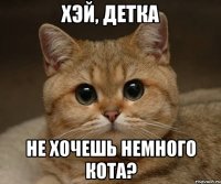 хэй, детка не хочешь немного кота?