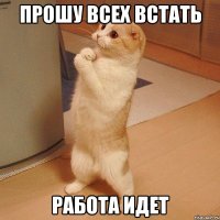 Прошу всех встать Работа идет