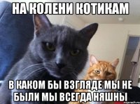 На колени котикам В каком бы взгляде мы не были мы всегда няшны