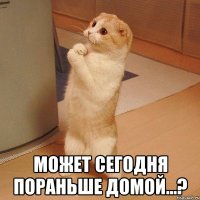  Может сегодня пораньше домой...?