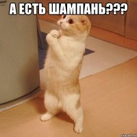 А есть шампань??? 