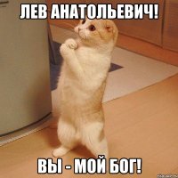 Лев Анатольевич! Вы - мой Бог!