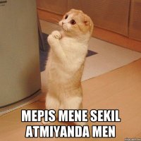  Mepis mene sekil atmiyanda men