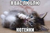 Я ВАС ЛЮБЛЮ КОТЕЙКИ