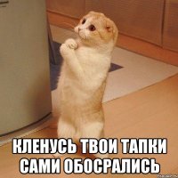  кленусь твои тапки сами обосрались