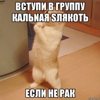 вступи в группу КАЛЬNAЯ SЛЯКОТЬ если не рак