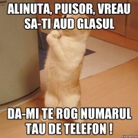 Alinuta, puisor, vreau sa-ti aud glasul Da-mi te rog numarul tau de telefon !