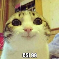  CSI 99