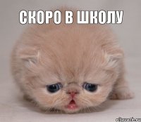 Скоро в школу