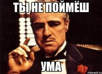 ты не поймёш ума