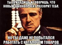 Ты приходишь и говоришь, что новый законопроект раззорит тебя. Но ты даже не попытался работать с каталогом товаров