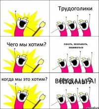 Кто мы? Трудоголики Чего мы хотим? пахать, вкалывать, зашиваться когда мы это хотим? ВСЕГДА! УРА!