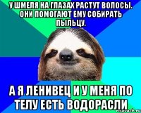 У шмеля на глазах растут волосы. Они помогают ему собирать пыльцу. а я ленивец и у меня по телу есть водорасли