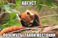 август почему ты такой жестокий