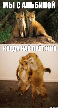 мы с альбиной когда нас прёт ))))0