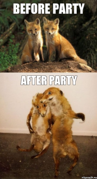 before party After party