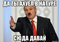 да ты ахуел в натуре сюда давай