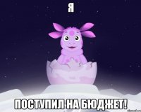 Я поступил на бюджет!