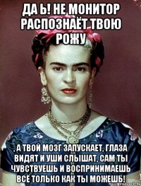 Да Ь! Не монитор распознаёт твою рожу , а твой мозг запускает, глаза видят и уши слышат, сам ты чувствуешь и воспринимаешь всё только как ты можешь!