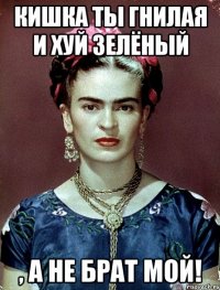 Кишка ты гнилая и хуй зелёный , а не брат мой!