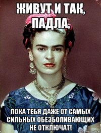 Живут и так, падла, пока тебя даже от самых сильных обезболивающих не отключат!