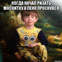 когда начал ризать москитку а леня проснувся 