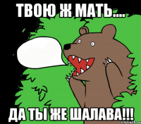 Твою ж мать.... Да ты же шалава!!!