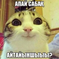 апай сабақ айтайыншыыы?