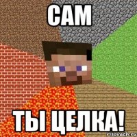 Сам ТЫ целка!