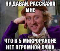 НУ ДАВАЙ, РАССКАЖИ МНЕ ЧТО В 5 МИКРОРАЙОНЕ НЕТ ОГРОМНОЙ ЛУЖИ