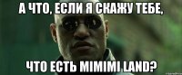 а что, если я скажу тебе, что есть Mimimi Land?