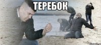 Теребок 